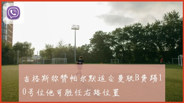 吉格斯称赞帕尔默适合曼联B费踢10号位他可胜任右路位置